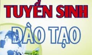 Về  việc tuyển sinh hệ cao cấp lý luận chính trị-hành chính năm 2013